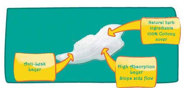 sanitary napkin